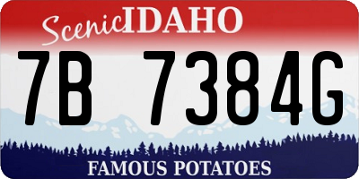ID license plate 7B7384G