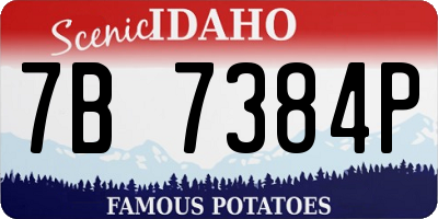 ID license plate 7B7384P