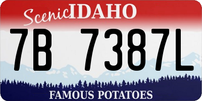 ID license plate 7B7387L