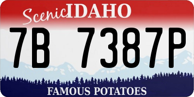 ID license plate 7B7387P
