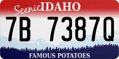 ID license plate 7B7387Q