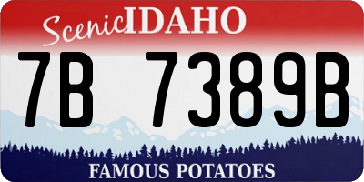 ID license plate 7B7389B