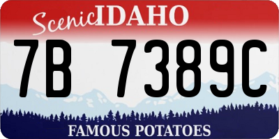 ID license plate 7B7389C