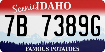 ID license plate 7B7389G