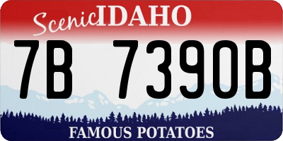 ID license plate 7B7390B
