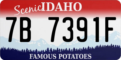 ID license plate 7B7391F