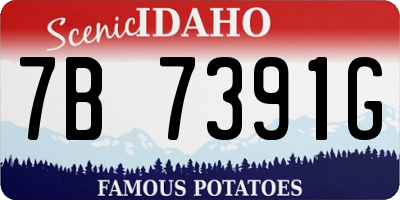 ID license plate 7B7391G