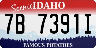 ID license plate 7B7391I