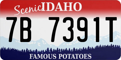 ID license plate 7B7391T