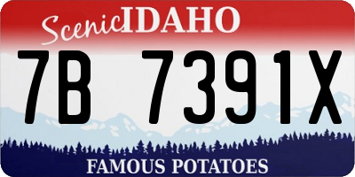 ID license plate 7B7391X