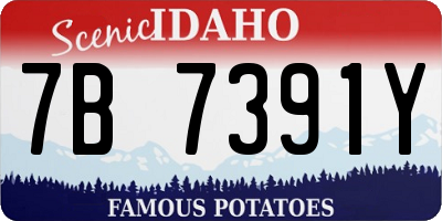 ID license plate 7B7391Y