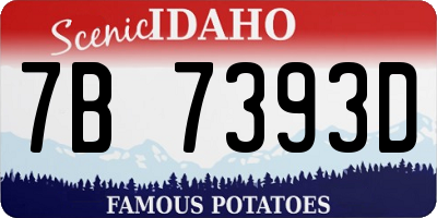 ID license plate 7B7393D