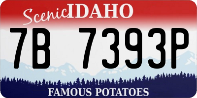 ID license plate 7B7393P