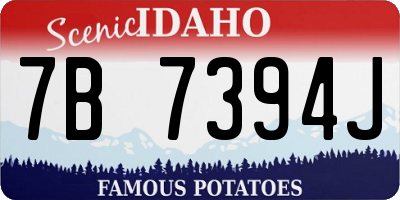ID license plate 7B7394J