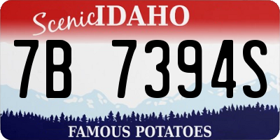 ID license plate 7B7394S