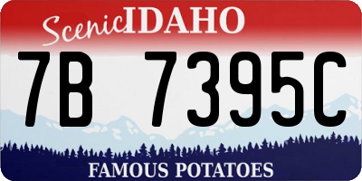 ID license plate 7B7395C