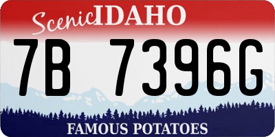 ID license plate 7B7396G