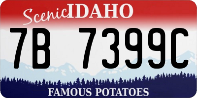 ID license plate 7B7399C