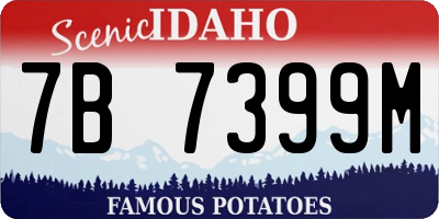 ID license plate 7B7399M