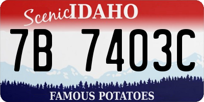 ID license plate 7B7403C