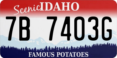 ID license plate 7B7403G
