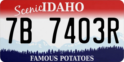 ID license plate 7B7403R