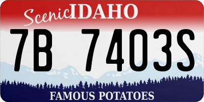 ID license plate 7B7403S