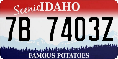 ID license plate 7B7403Z
