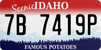 ID license plate 7B7419P