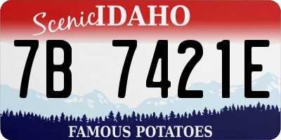 ID license plate 7B7421E