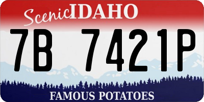 ID license plate 7B7421P