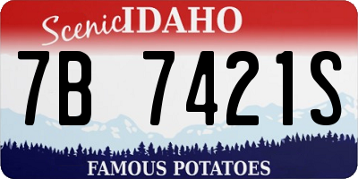 ID license plate 7B7421S