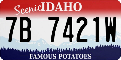 ID license plate 7B7421W