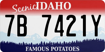 ID license plate 7B7421Y