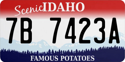 ID license plate 7B7423A