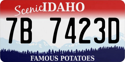 ID license plate 7B7423D