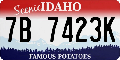 ID license plate 7B7423K