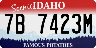 ID license plate 7B7423M