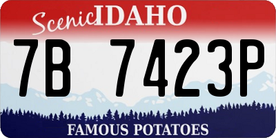 ID license plate 7B7423P