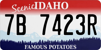 ID license plate 7B7423R