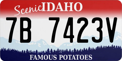 ID license plate 7B7423V