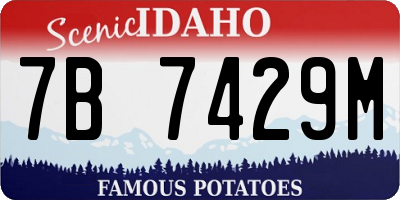 ID license plate 7B7429M