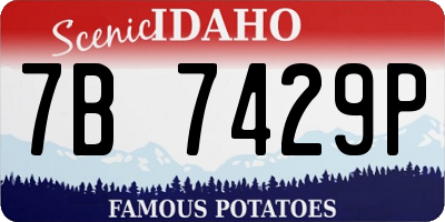 ID license plate 7B7429P