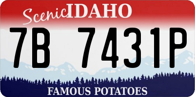ID license plate 7B7431P