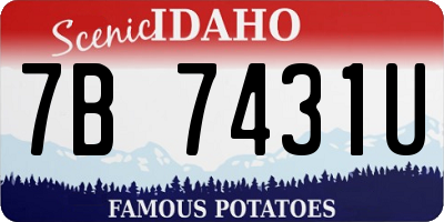 ID license plate 7B7431U