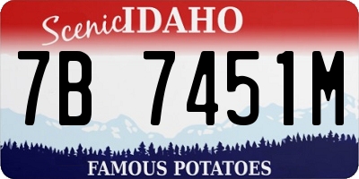ID license plate 7B7451M