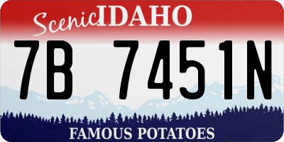 ID license plate 7B7451N