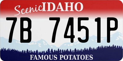 ID license plate 7B7451P