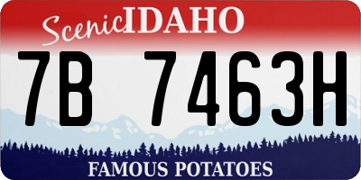 ID license plate 7B7463H