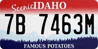 ID license plate 7B7463M